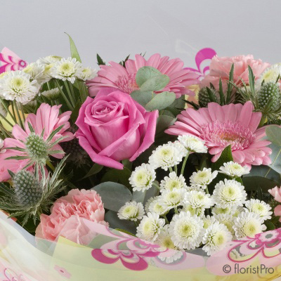 Florist Choice Pink & White