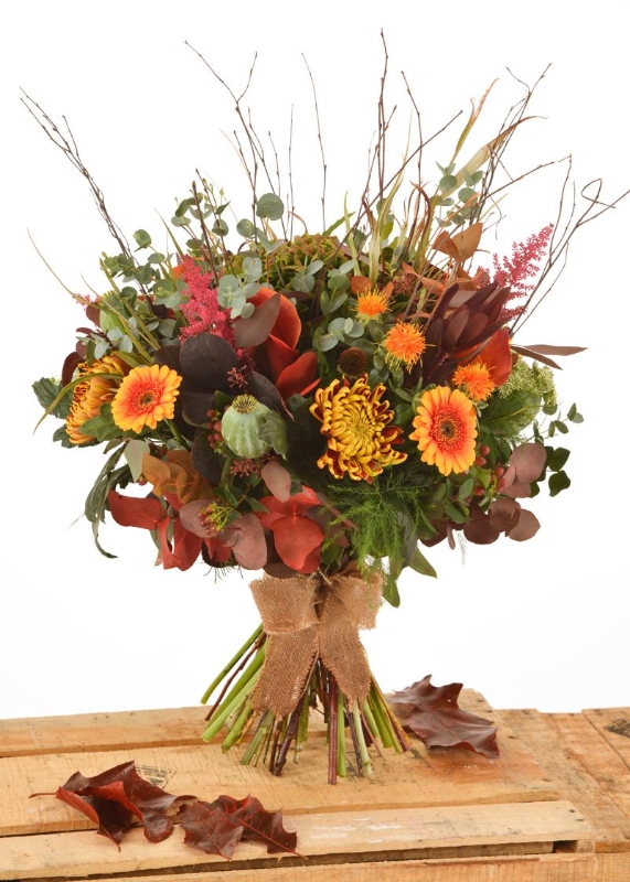 Seasonal Selection